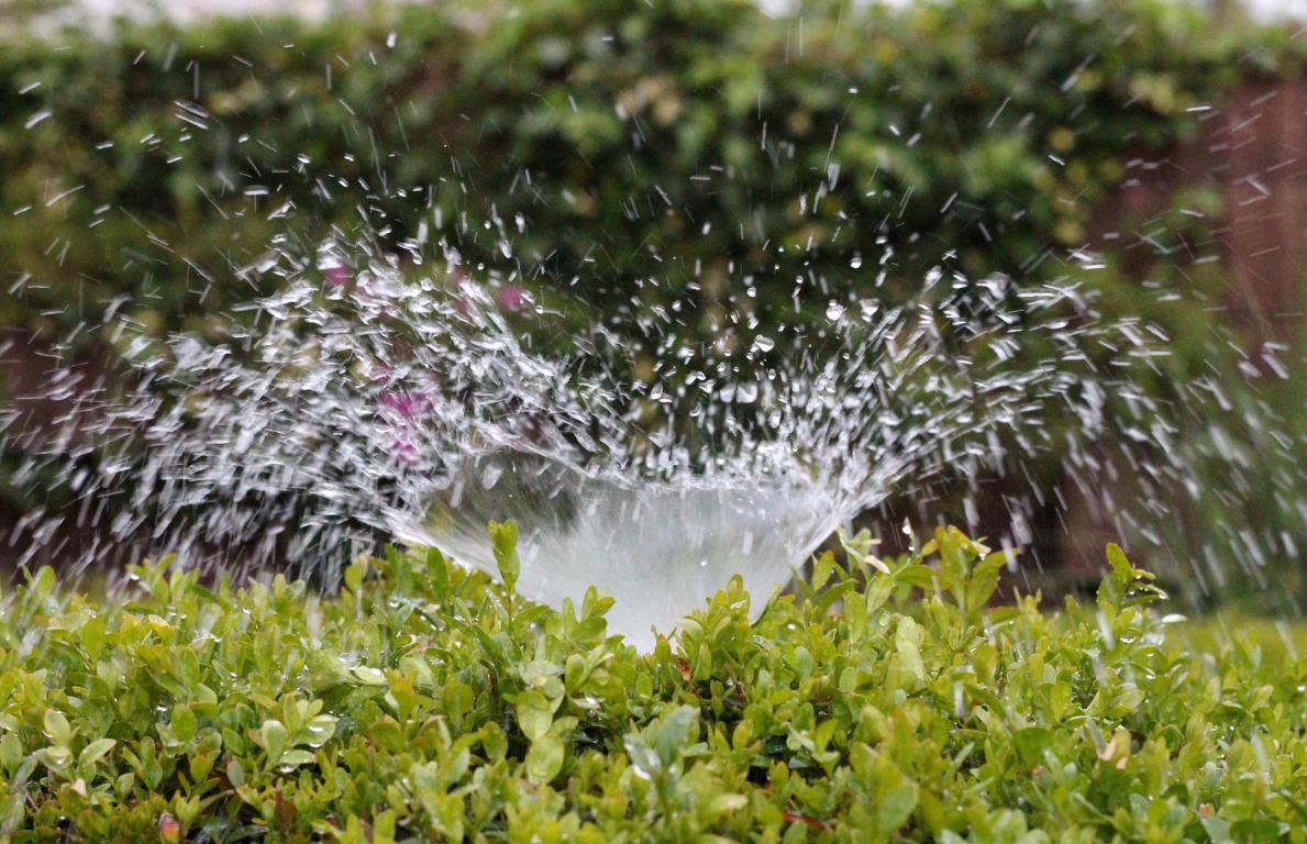 riego automatico encendido en un jardín